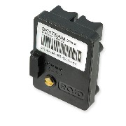 Unité de commande du moteur pour Dax Skyteam Skymax 50cc EURO4