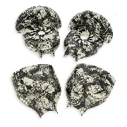 Coque hoverboard 10 pouces type 2 - noir et blanc