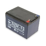BATTERIE 12V12AH 6-DZM 12