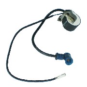 Allumage Pocket bike Polini 911 - Banshee SHO