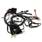 Faisceau électrique pour Quad Spy Racing 250 F1