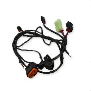 faisceau d'injecteur (efi) pour Quad Spy Racing 250F3