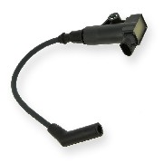 Bobine d'allumage quad Spy Racing 350cc F3