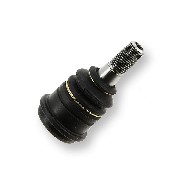 Rotule de suspension infèrieure pour Quad Shineray 200cc XY200ST-6A