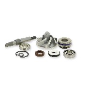 Pompe à eau pour Quad Shineray 250cc ST-9E