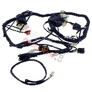 Faisceau électrique pour Quad Shineray 350cc (XY350ST-2E)