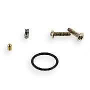 Pointeau pour contacteur de vitesse quad shineray 250cc ST-9E