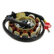 Stator pour Scooter Chinois 125cc (type 2)
