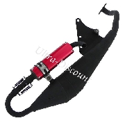 Pot scooter Chinois 50 cc (type 2)