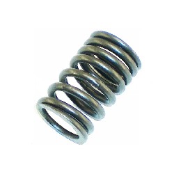Gros ressort de soupape pour moteur 200cc STIIE (14755-070-00)