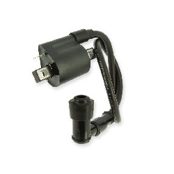 Bobine d'allumage quad Spy Racing 250 F3