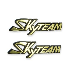 2 x Logo SkyTeam autocollant en plastique pour E-mini