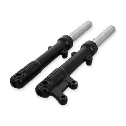 Paire de bras de fourche pour Citycoco (Noir)