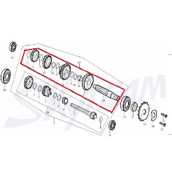 Arbre auxilliaire pour moteur 50-125cc pour Trex Skyteam