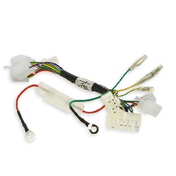 Faisceau Électrique pour scooter mini citycoco, Pièces Mini Citycoco