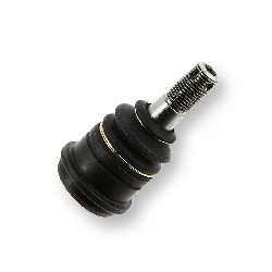 Rotule de suspension infèrieure pour Quad Shineray 250cc ST-9E