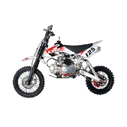Dirt Bike 125 PRO CRZ 2008