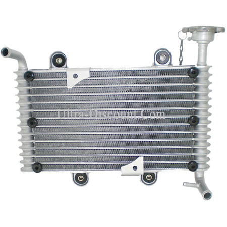 Radiateur pour Bashan 250cc BS250S11 Bilder 1